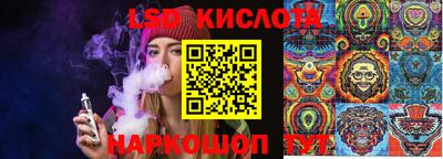 PSILOCYBIN Новозыбков