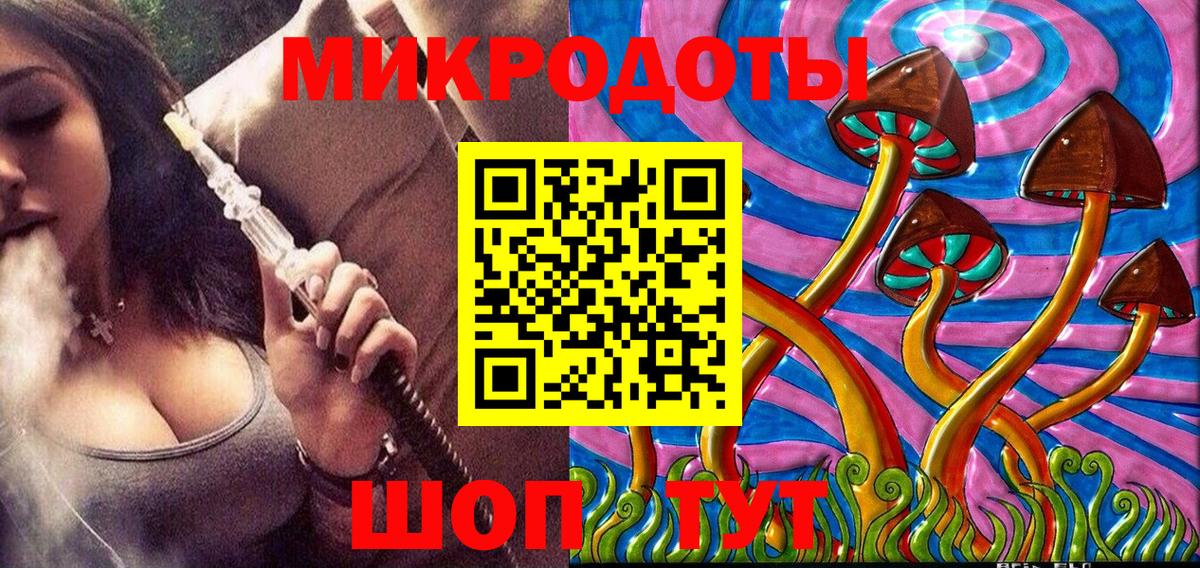 Псилоцибиновые грибы мицелий Сальск